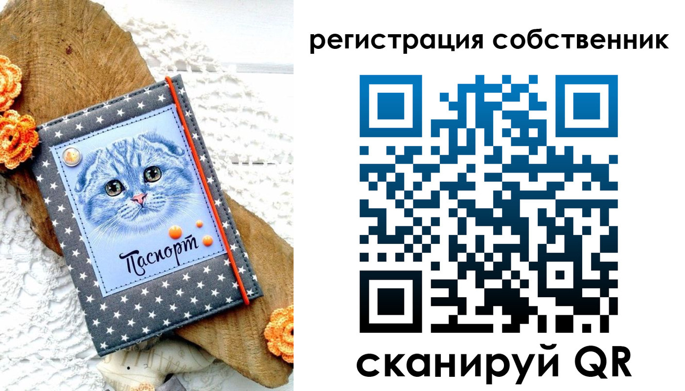 прописка для работы в Алексеевке